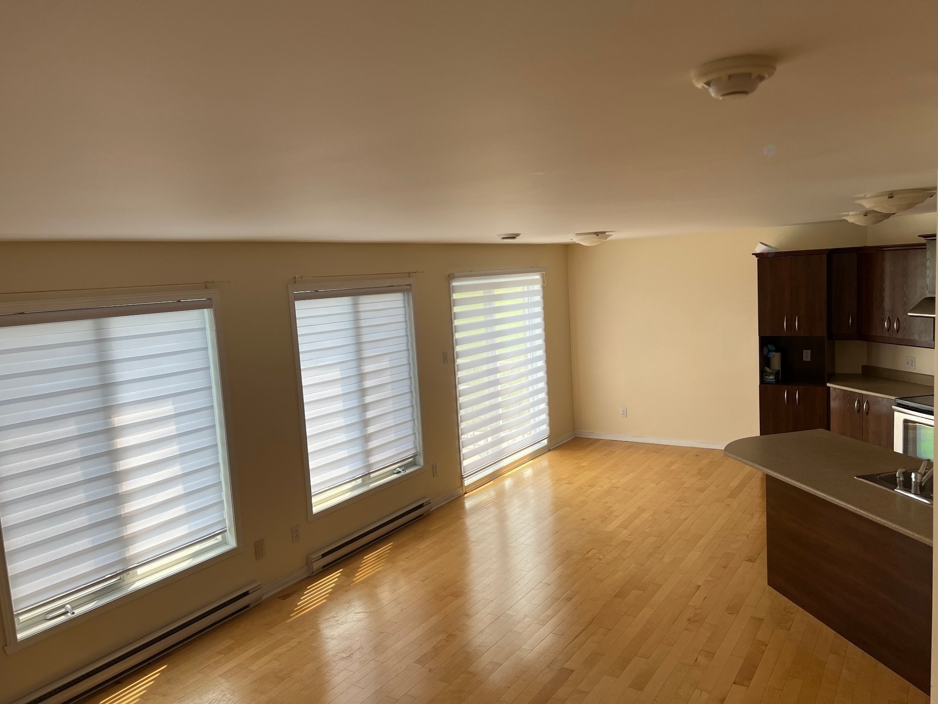 









7655


Rue Lautrec

, 5,
Brossard,




QC
J4Y3H5

