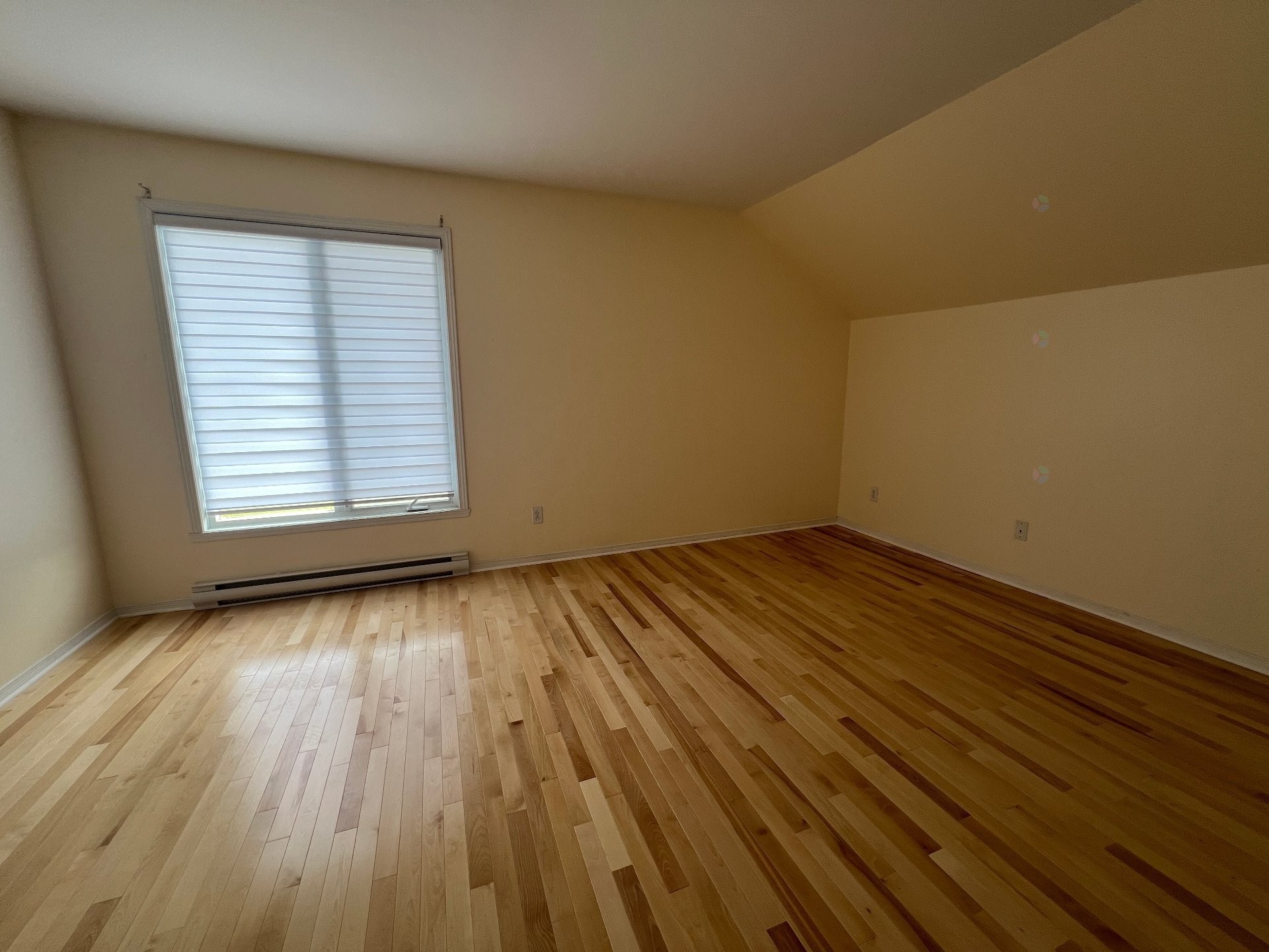 









7655


Rue Lautrec

, 5,
Brossard,




QC
J4Y3H5

