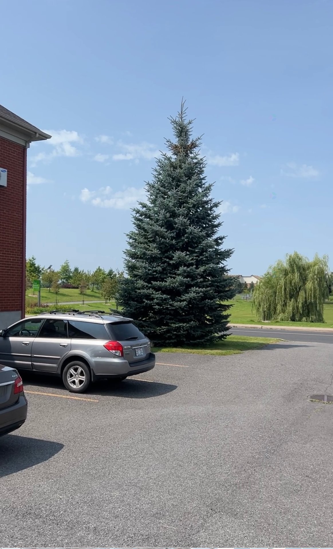 









7655


Rue Lautrec

, 5,
Brossard,




QC
J4Y3H5

