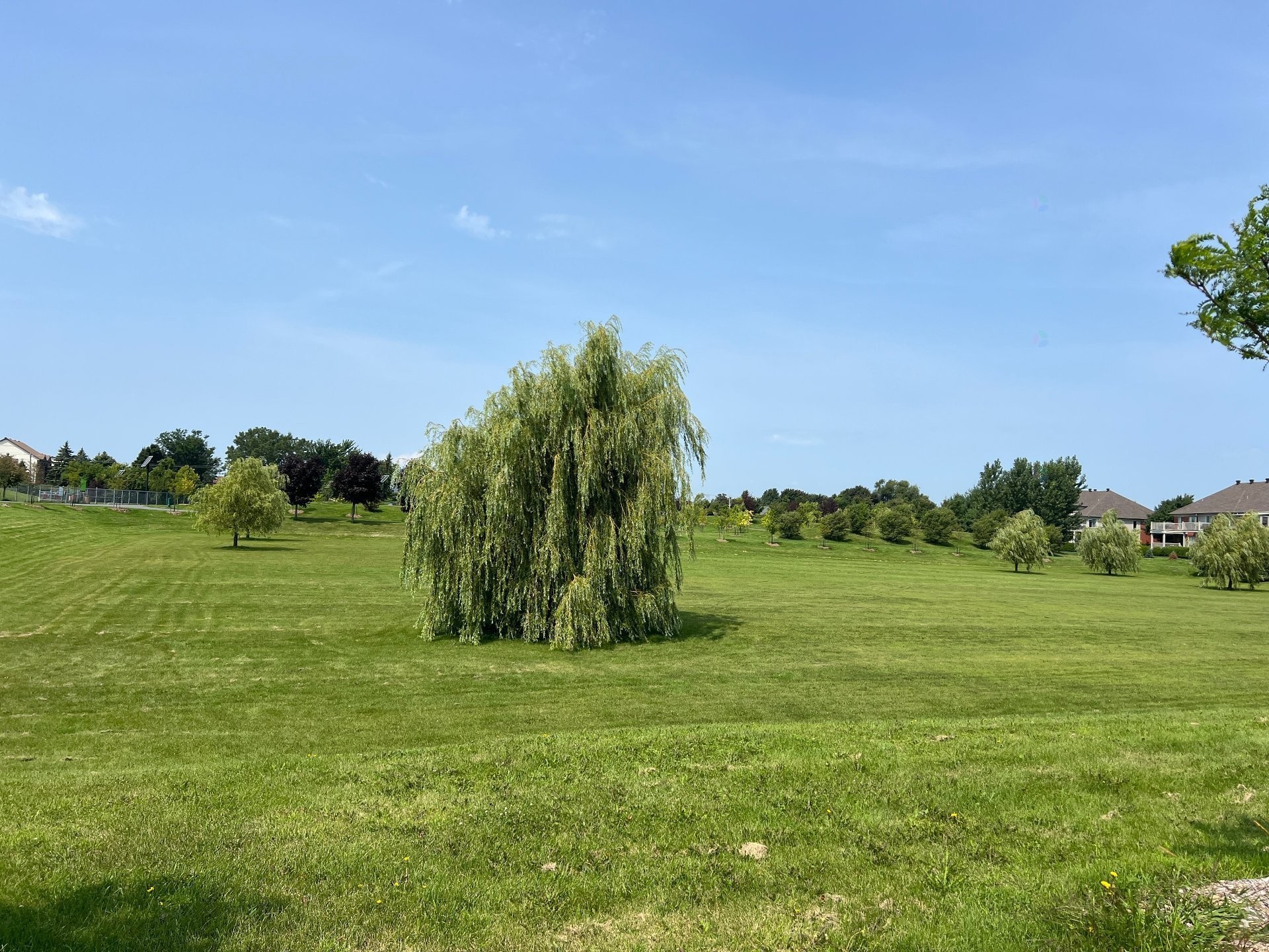 









7655


Rue Lautrec

, 5,
Brossard,




QC
J4Y3H5

