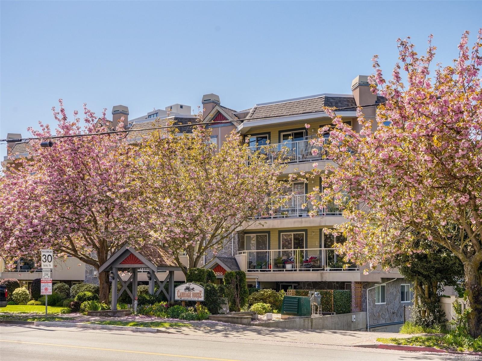 









320


Menzies

St, 202,
Victoria,




BC
V8V 2G9

