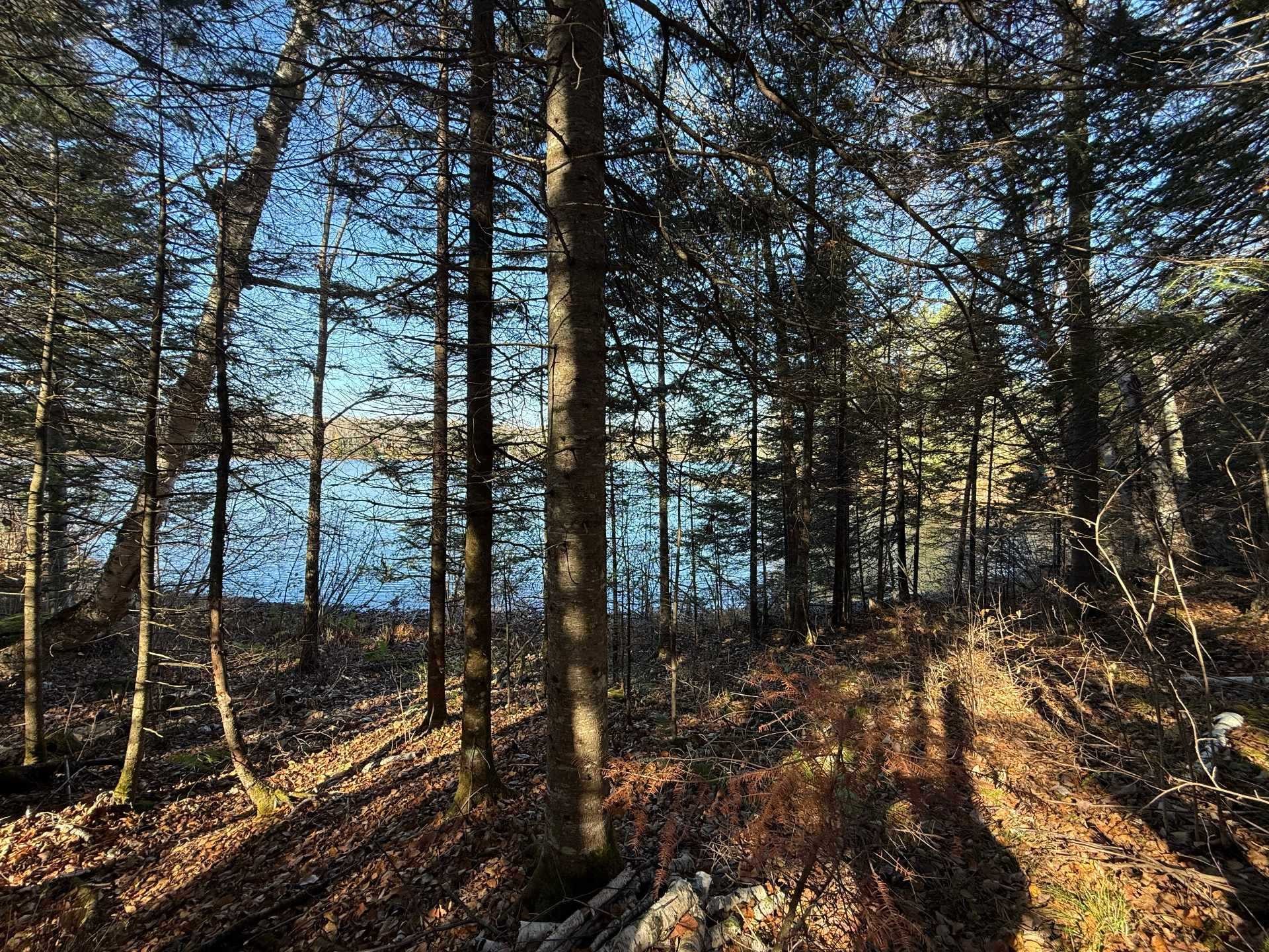 









247


Ch. du Lac-à-Larche

,
Cayamant,







QC
J0X1Y0

