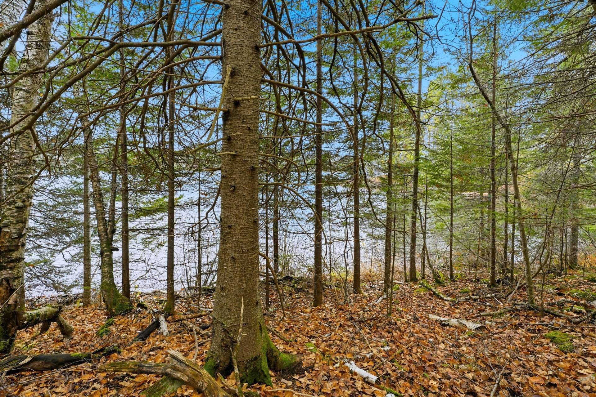 









247


Ch. du Lac-à-Larche

,
Cayamant,







QC
J0X1Y0

