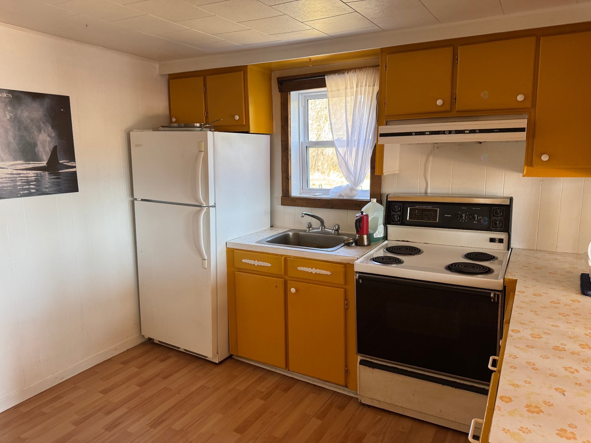 









204


Rue du Cap

,
Rivière-Saint-Jean,




QC
G0G1X0

