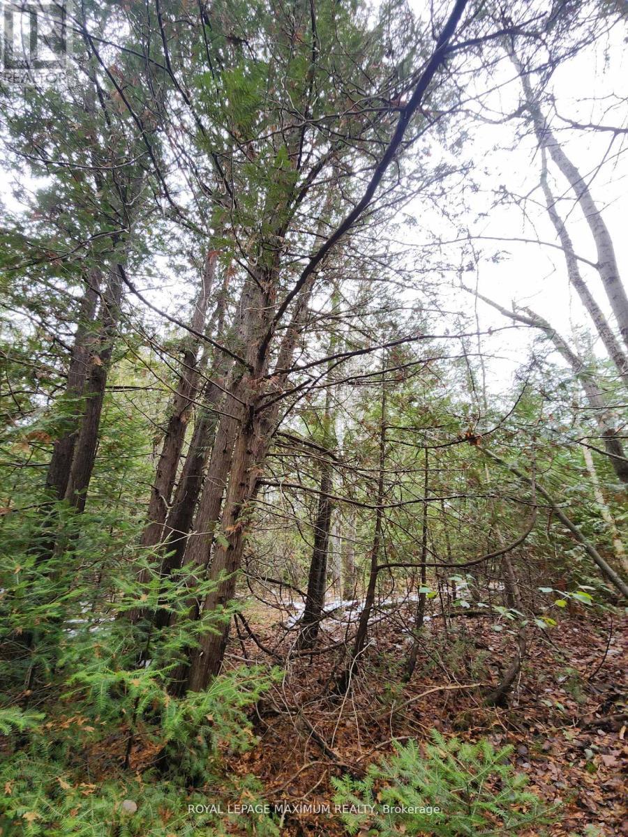 












0 ASHWORTH ROAD

,
Uxbridge,







Ontario
L0E1T0

