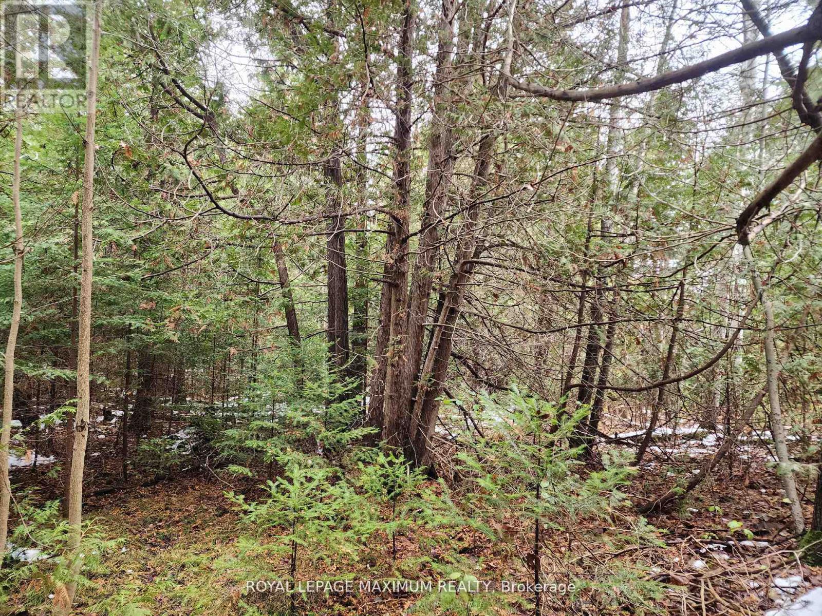 












0 ASHWORTH ROAD

,
Uxbridge,







Ontario
L0E1T0

