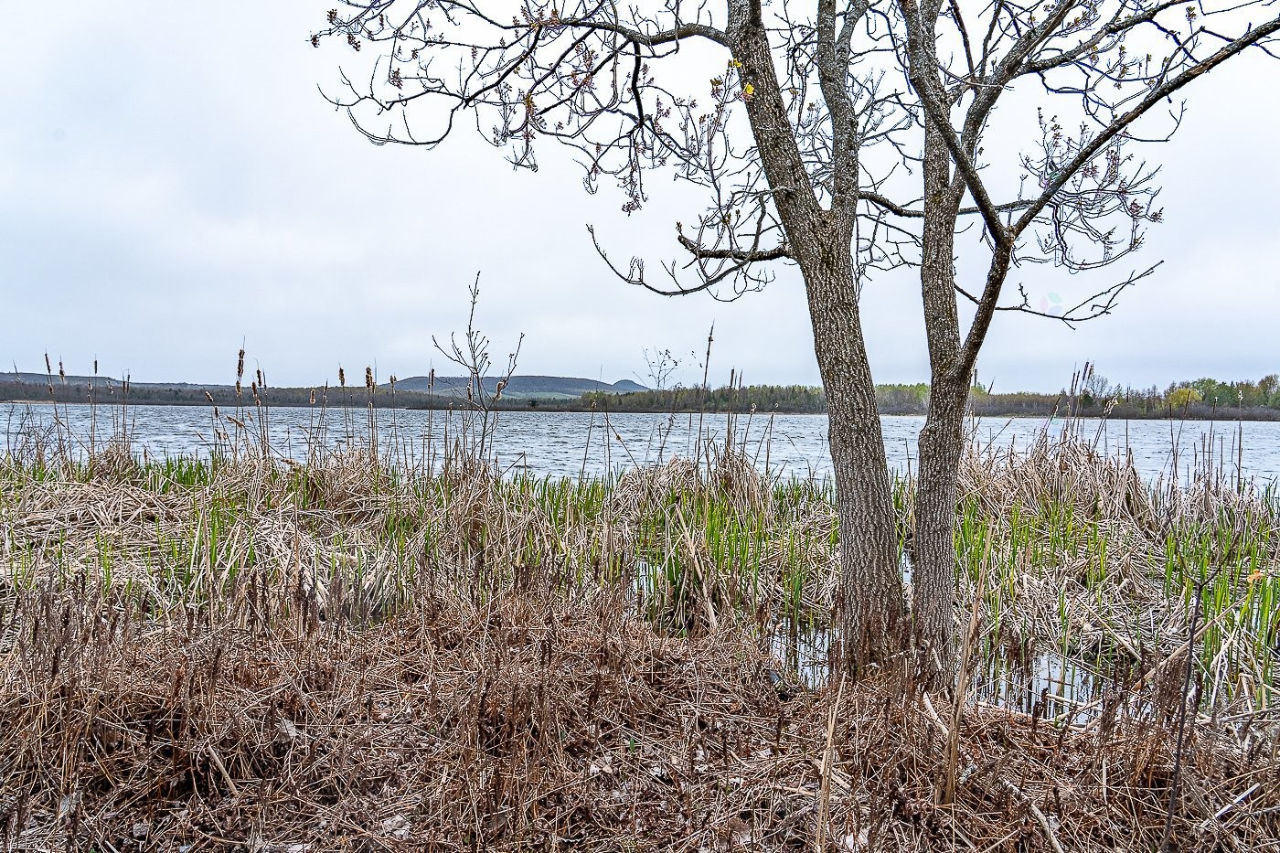 









200


Rue Water

,
Danville,




QC
J0A1A0

