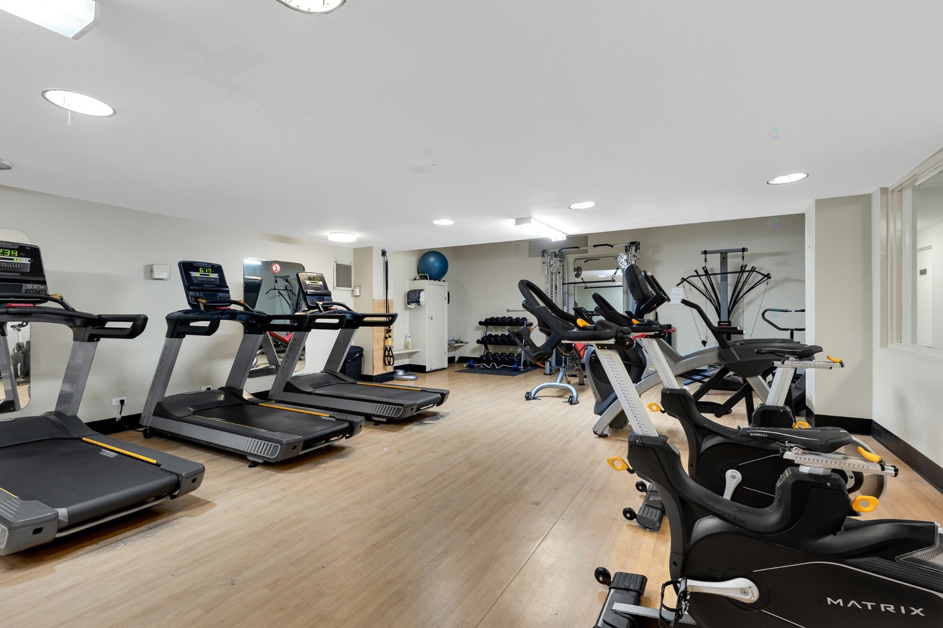 









5700


Boul. Cavendish

, 208,
Côte-Saint-Luc,




QC
H4W1S8


