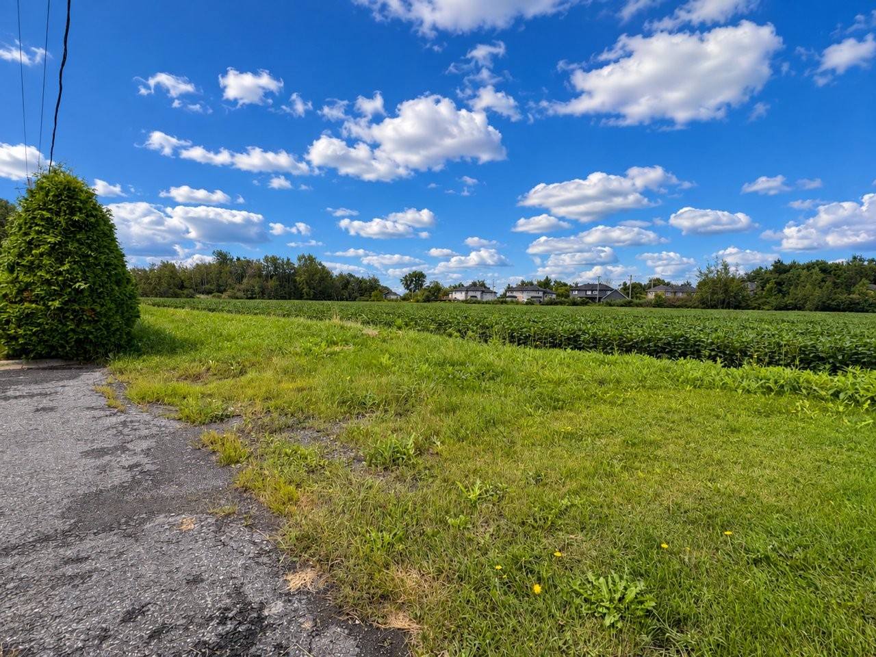 









299


Rue Foucher

,
Saint-Jean-sur-Richelieu,




QC
J3B8V3

