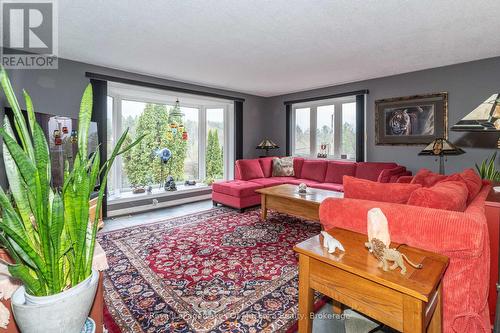 Living room ~ lots of natural light