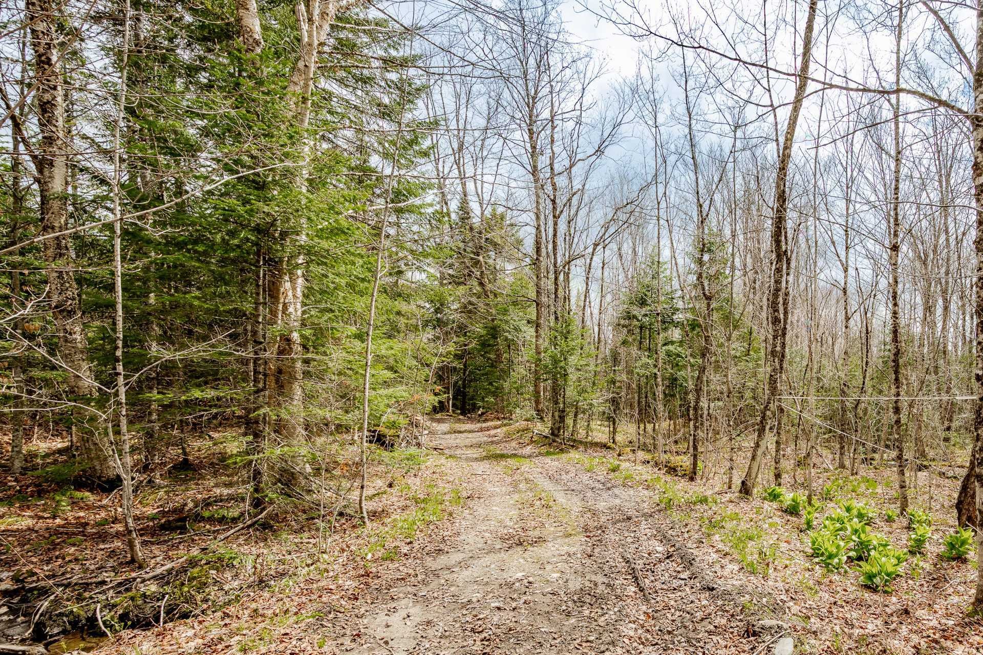 









2185


Route 210

,
Newport,




QC
J0B3A0

