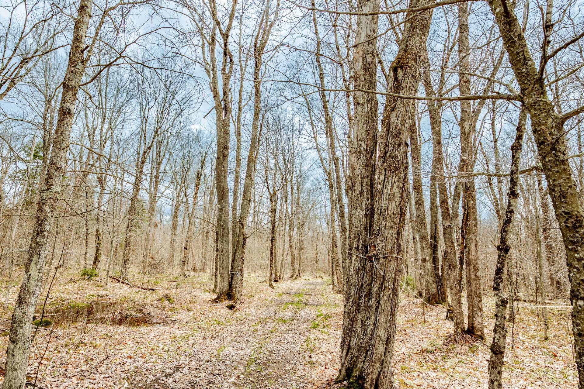 









2185


Route 210

,
Newport,




QC
J0B3A0

