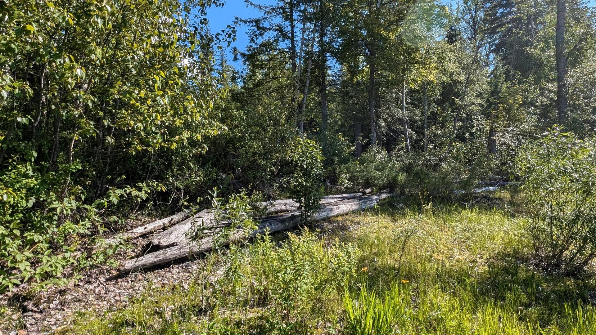 









730


Bradley

Road,
Seymour Arm,







BC
V0E 2V2

