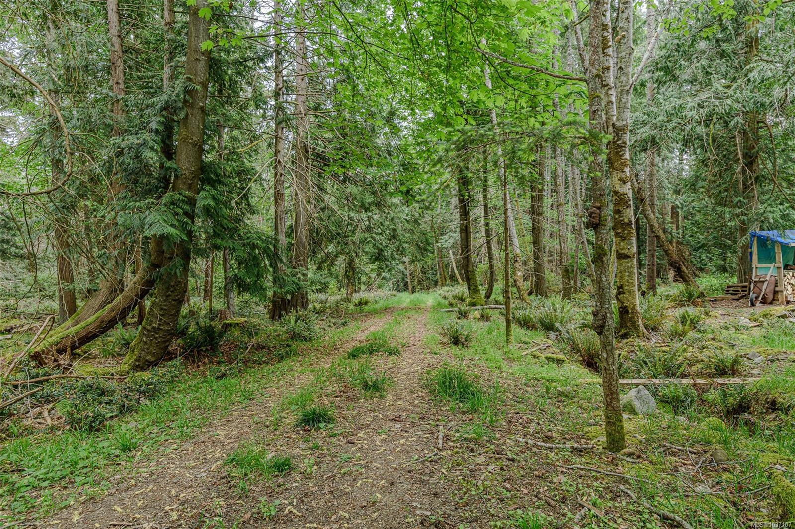 









161


Holmes

Rd,
Salt Spring,




BC
V8K 1T6

