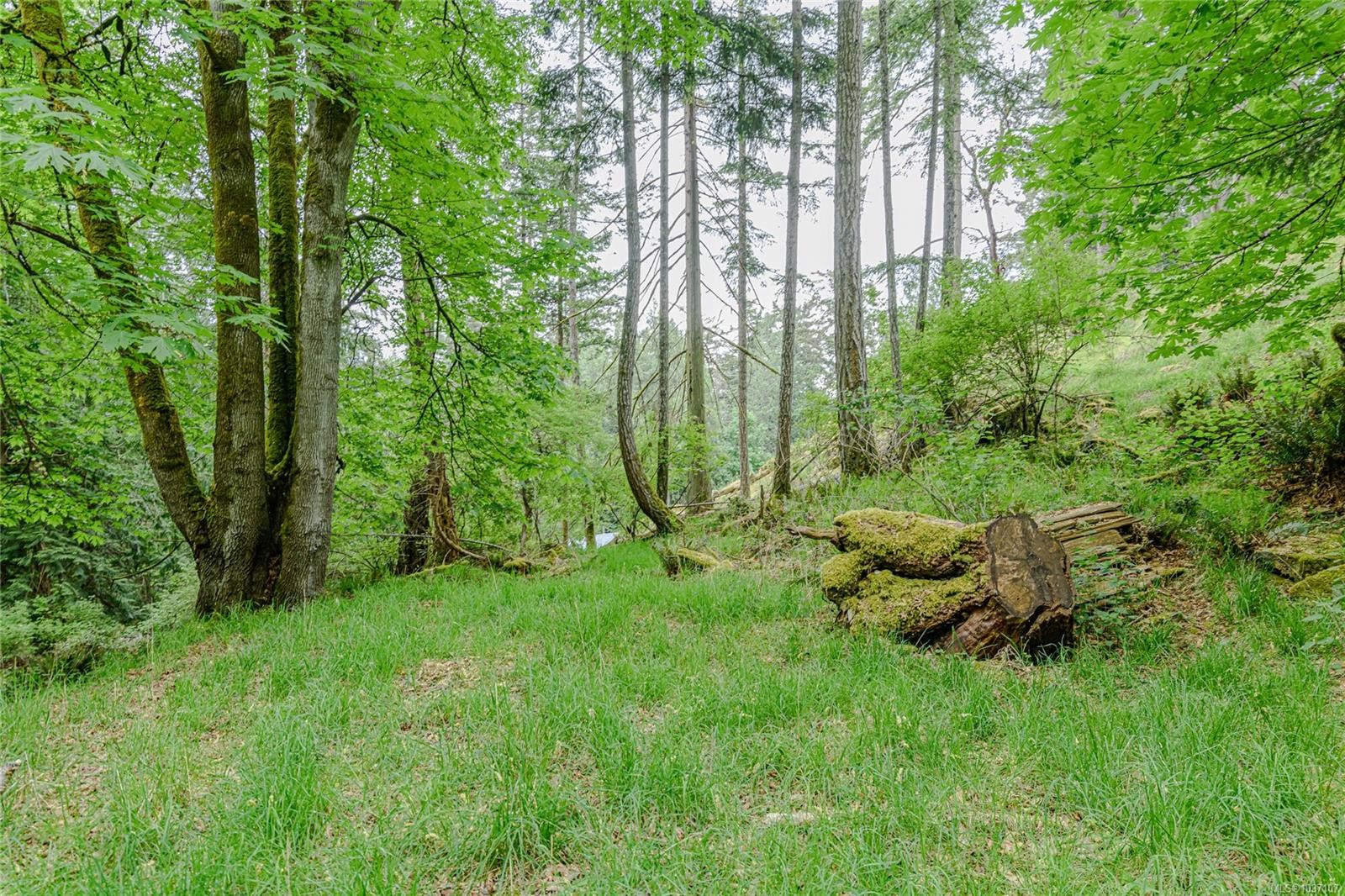 









161


Holmes

Rd,
Salt Spring,




BC
V8K 1T6

