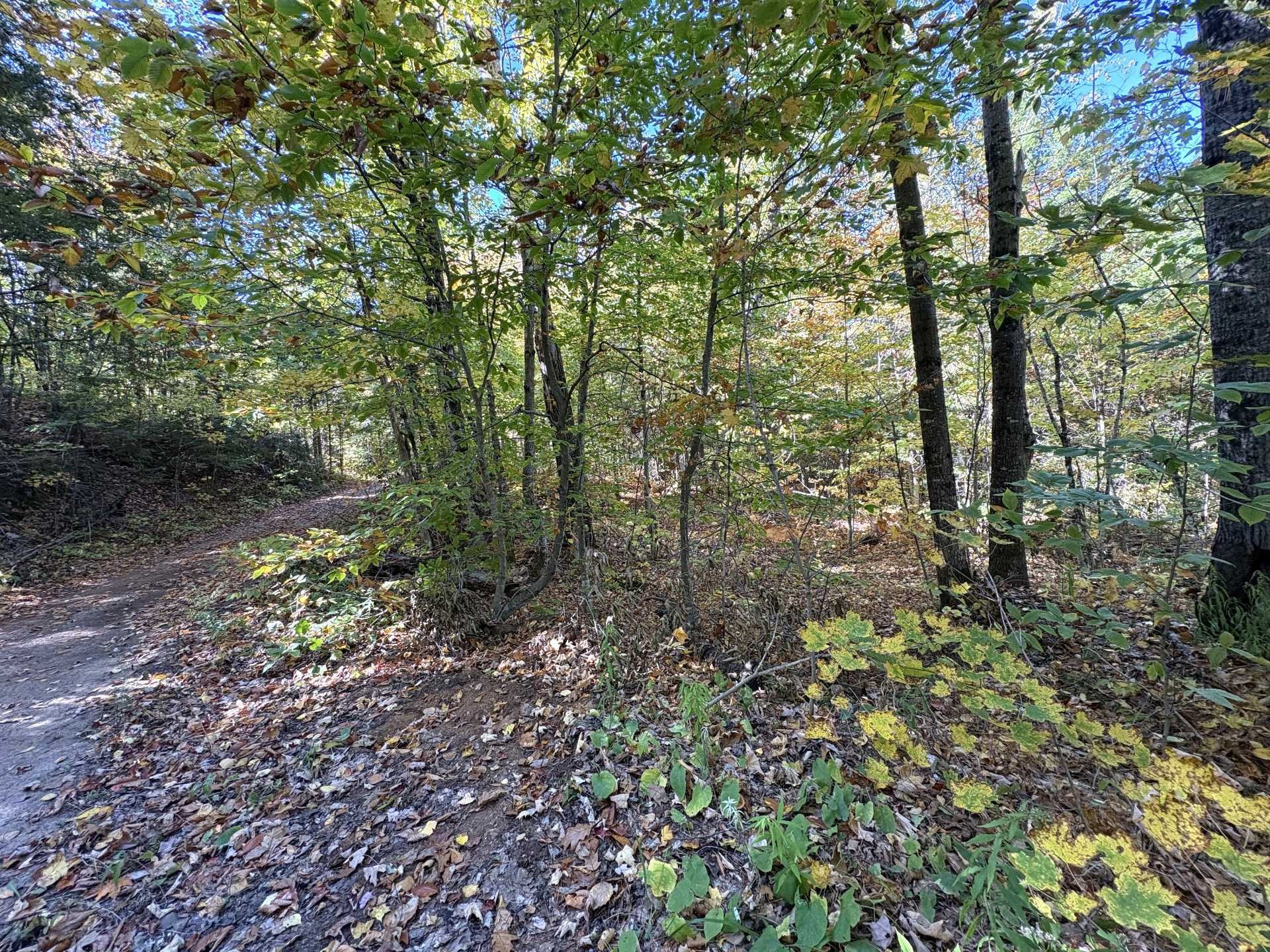 









186


Ch. du Camp

,
Val-des-Monts,




QC
J8N6A7

