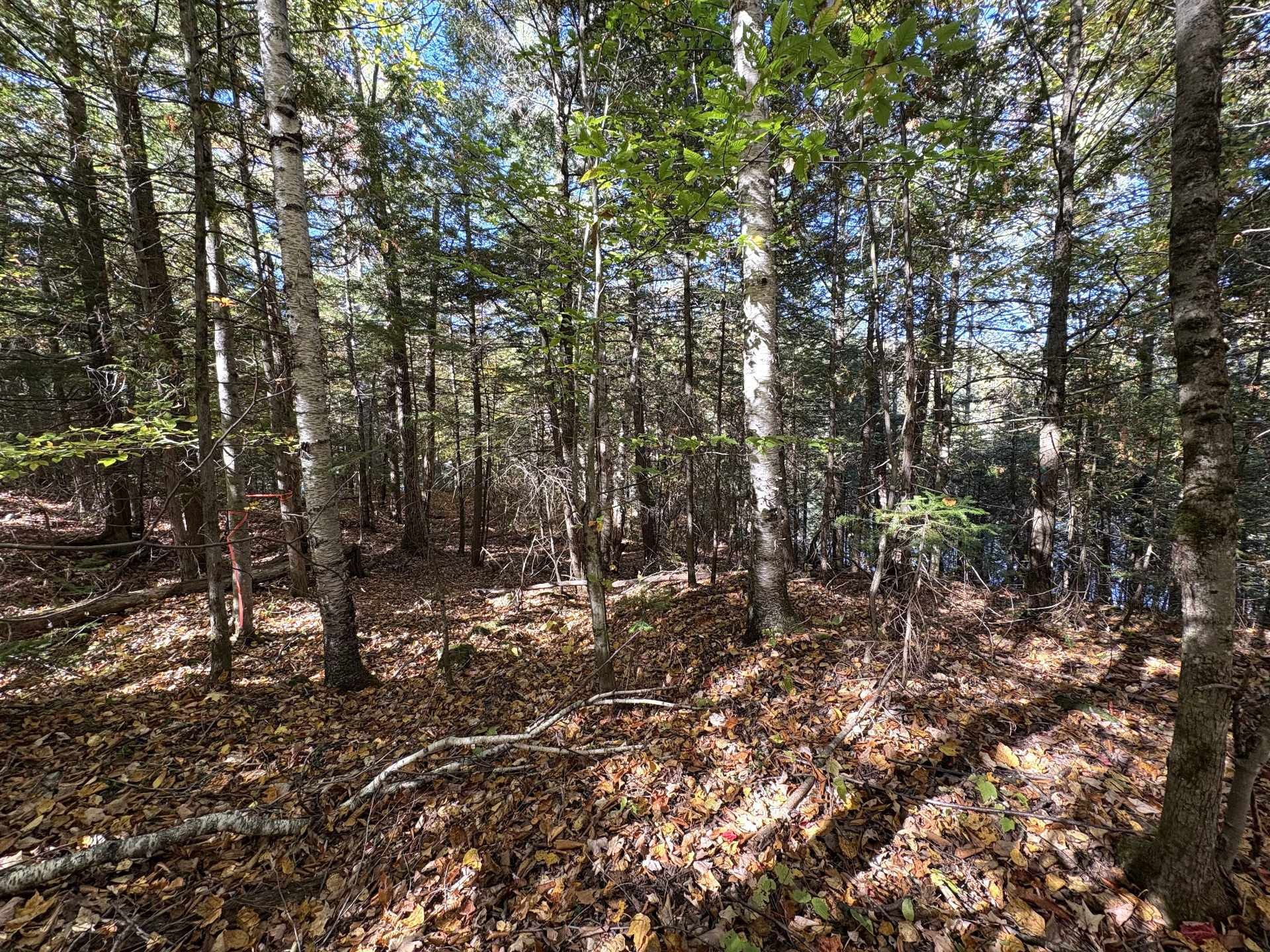 









186


Ch. du Camp

,
Val-des-Monts,




QC
J8N6A7

