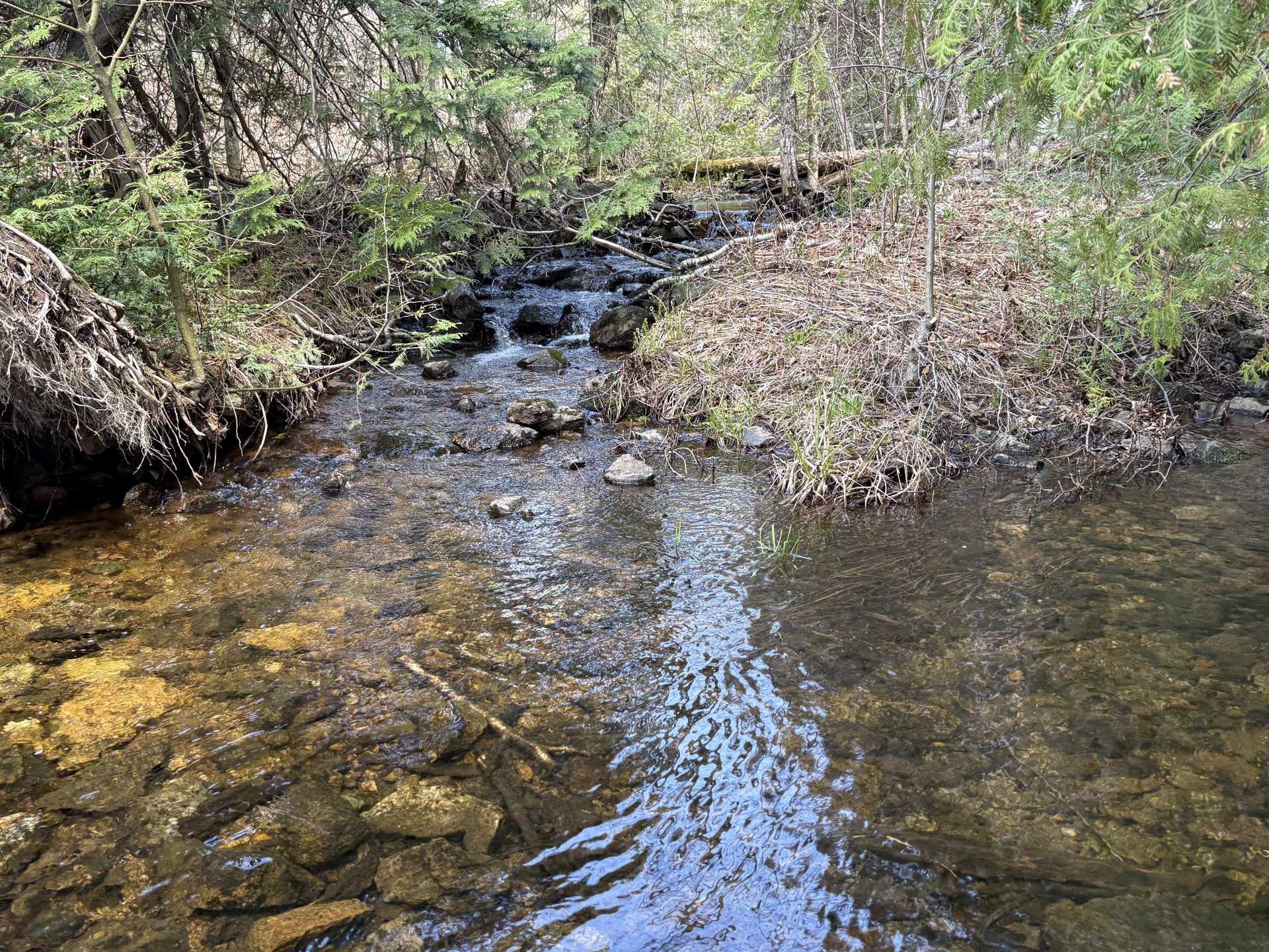 









186


Ch. du Camp

,
Val-des-Monts,




QC
J8N6A7

