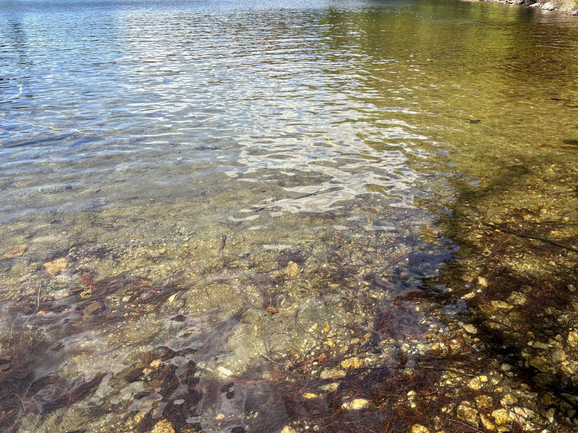 









186


Ch. du Camp

,
Val-des-Monts,




QC
J8N6A7


