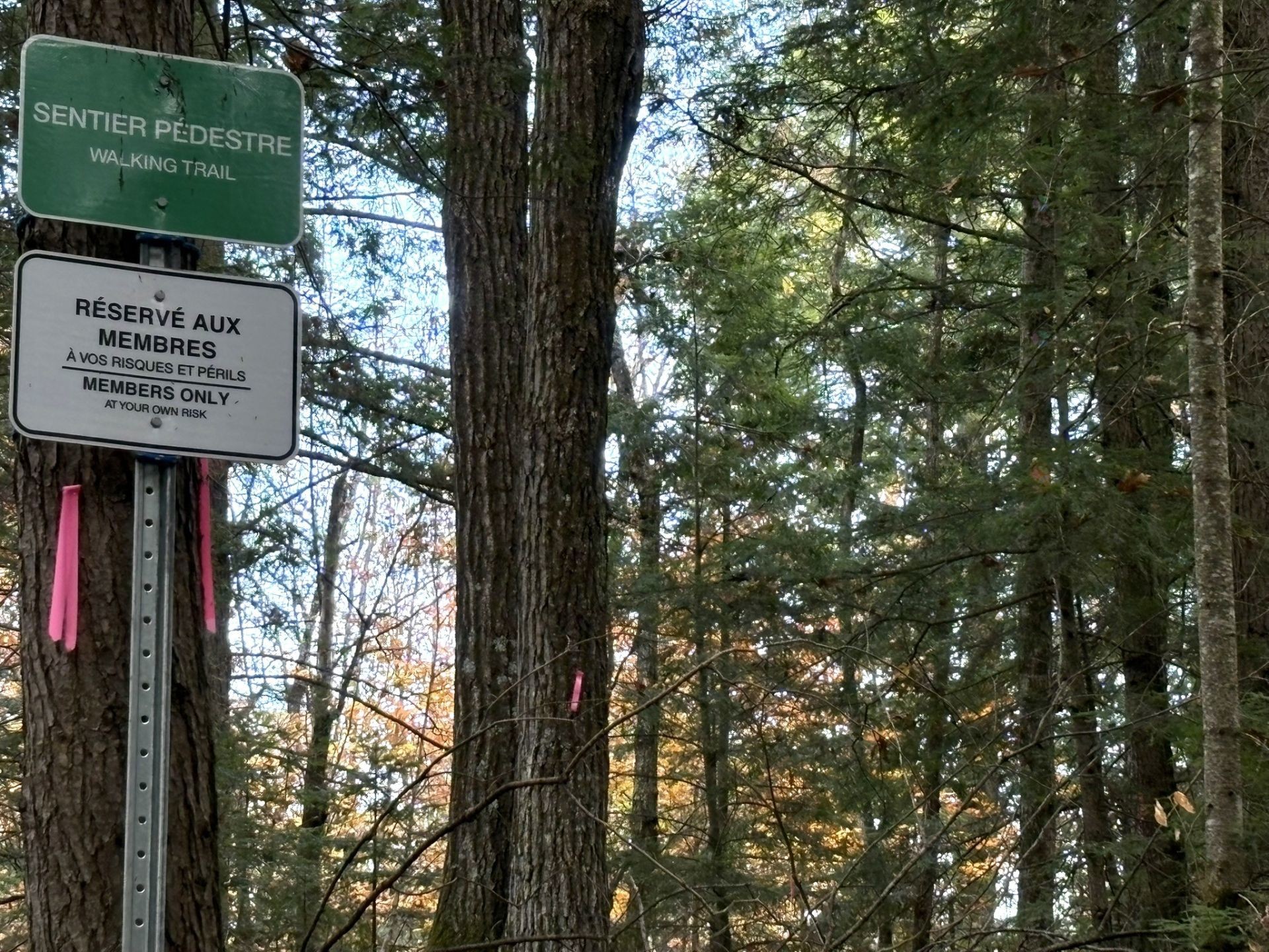 









186


Ch. du Camp

,
Val-des-Monts,




QC
J8N6A7

