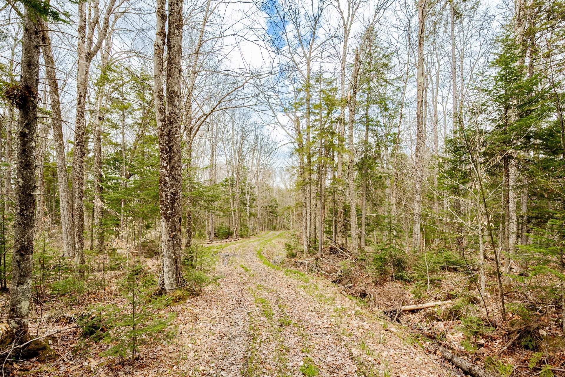 









2185Z


Route 210

,
Newport,







QC
J0B3A0

