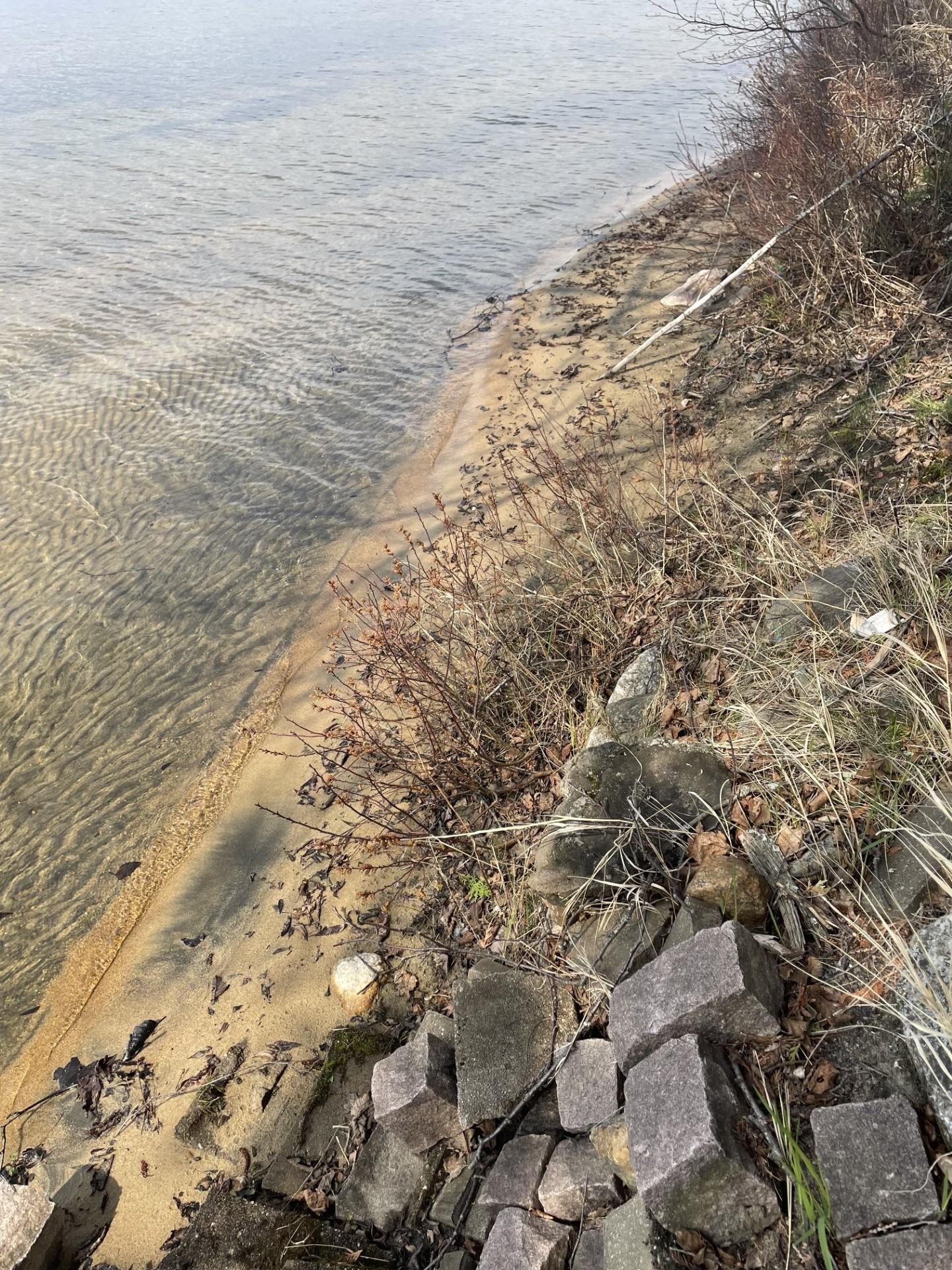 









699


Ch. du Lac-des-Cornes

,
Chute-Saint-Philippe,




QC
J0W1A0

