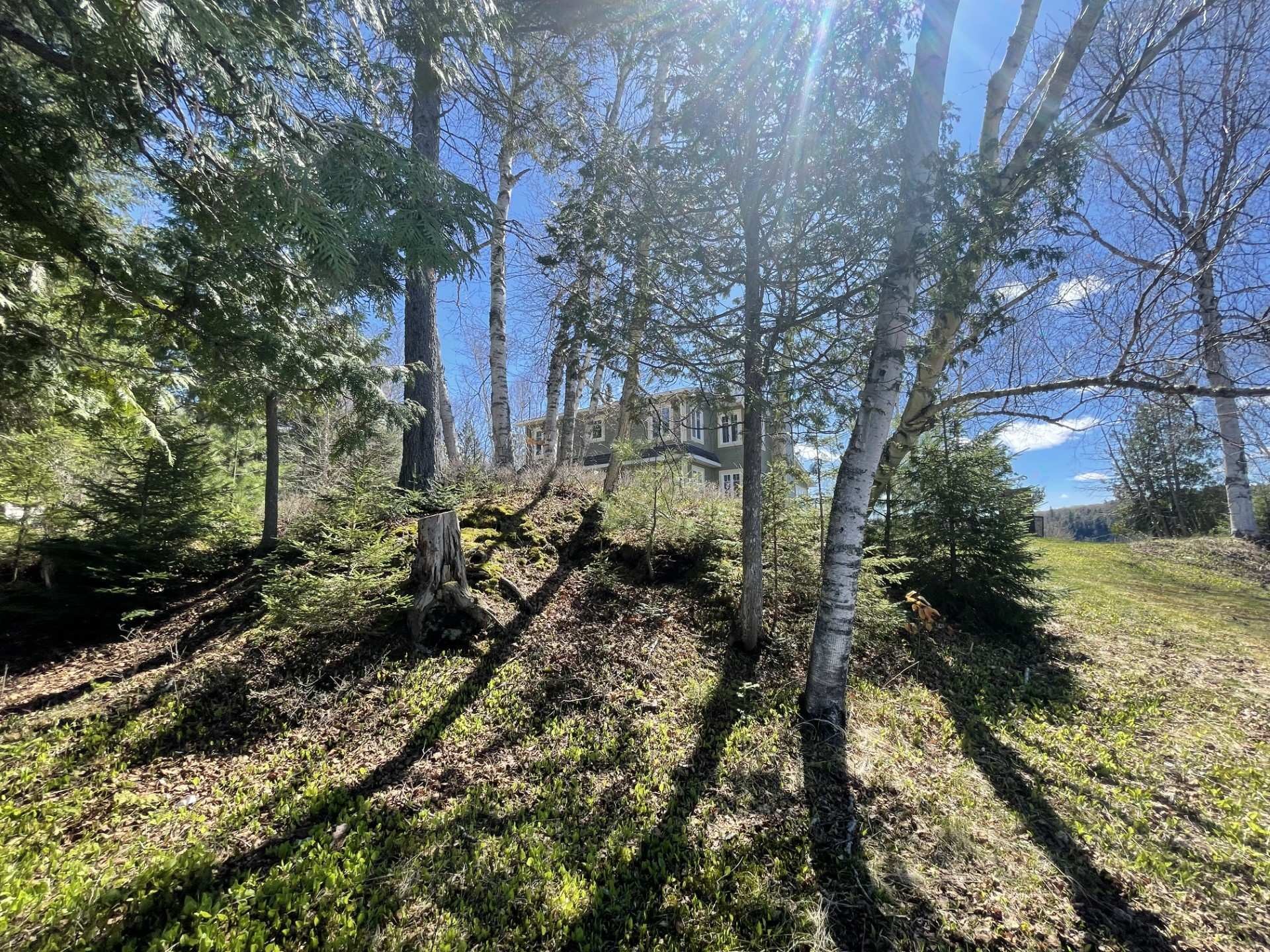 









699


Ch. du Lac-des-Cornes

,
Chute-Saint-Philippe,




QC
J0W1A0

