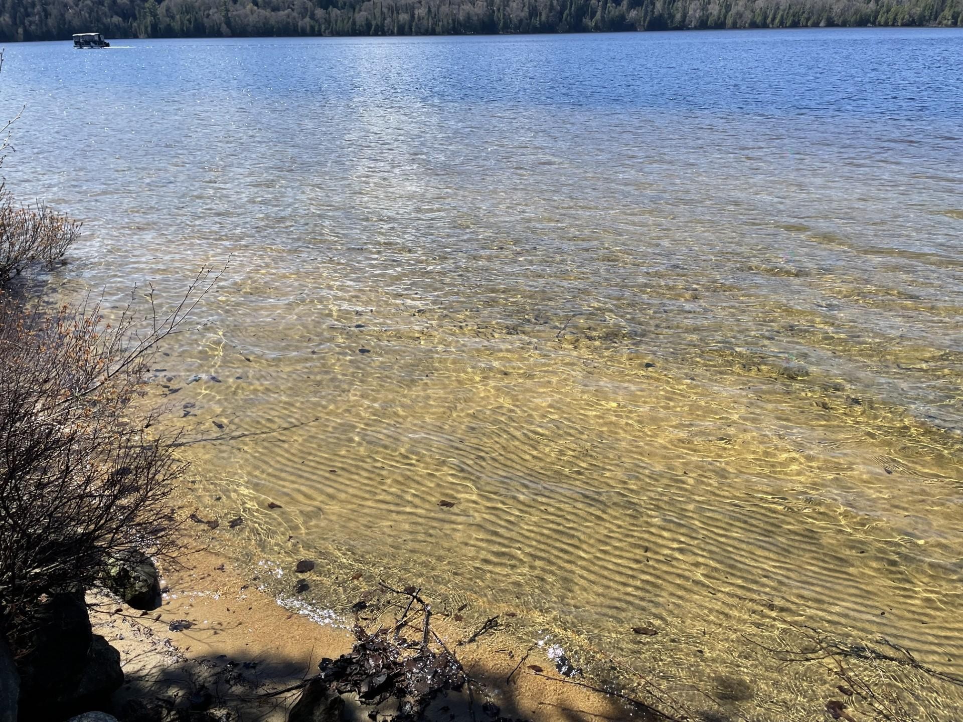









699


Ch. du Lac-des-Cornes

,
Chute-Saint-Philippe,




QC
J0W1A0

