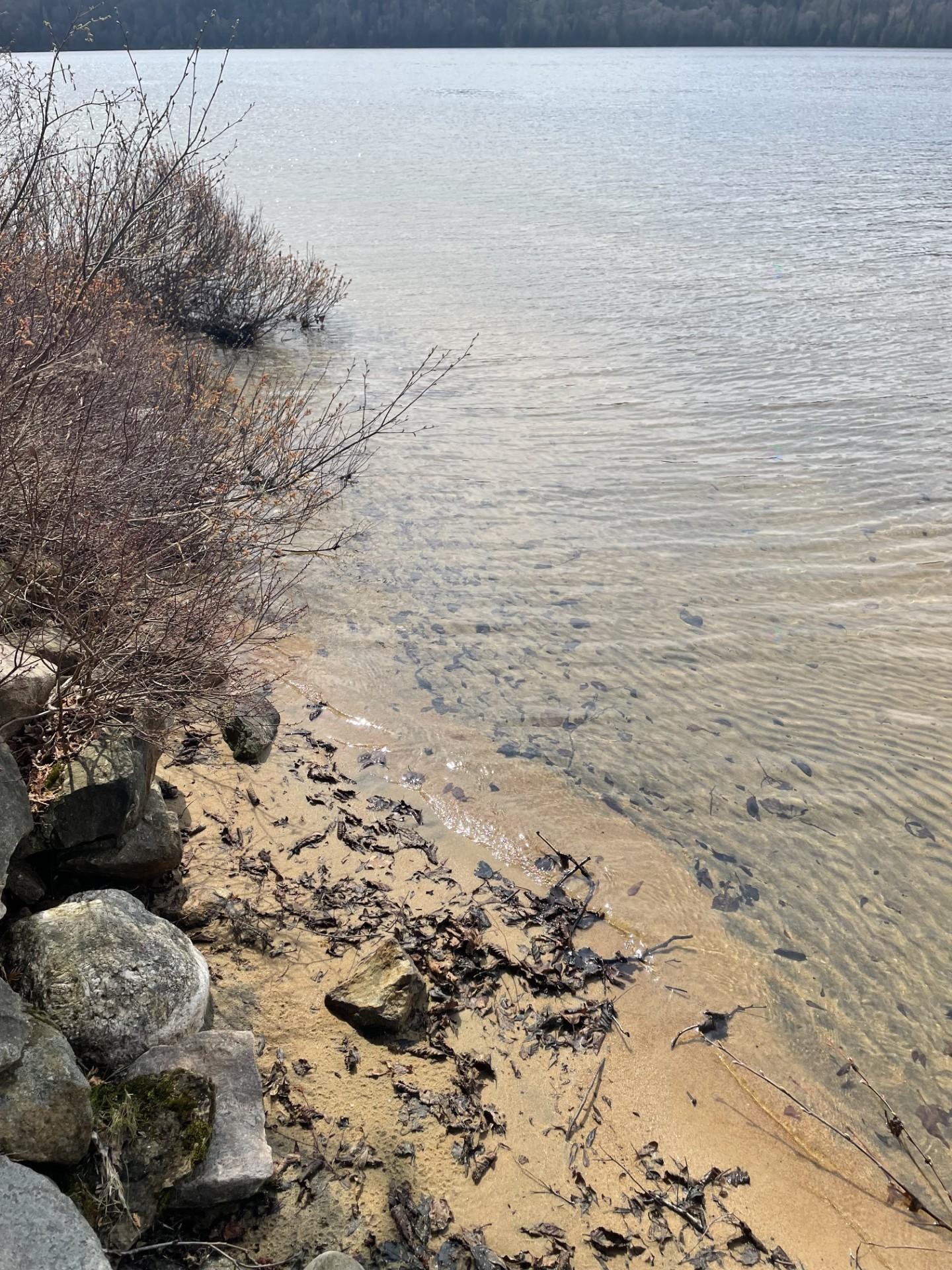 









699


Ch. du Lac-des-Cornes

,
Chute-Saint-Philippe,




QC
J0W1A0


