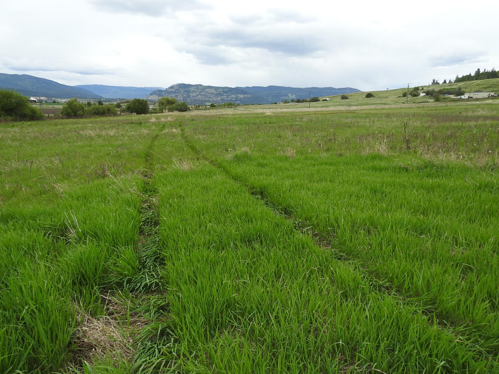 












L & A Cross

Road,
Spallumcheen,







BC
V1H 1W9

