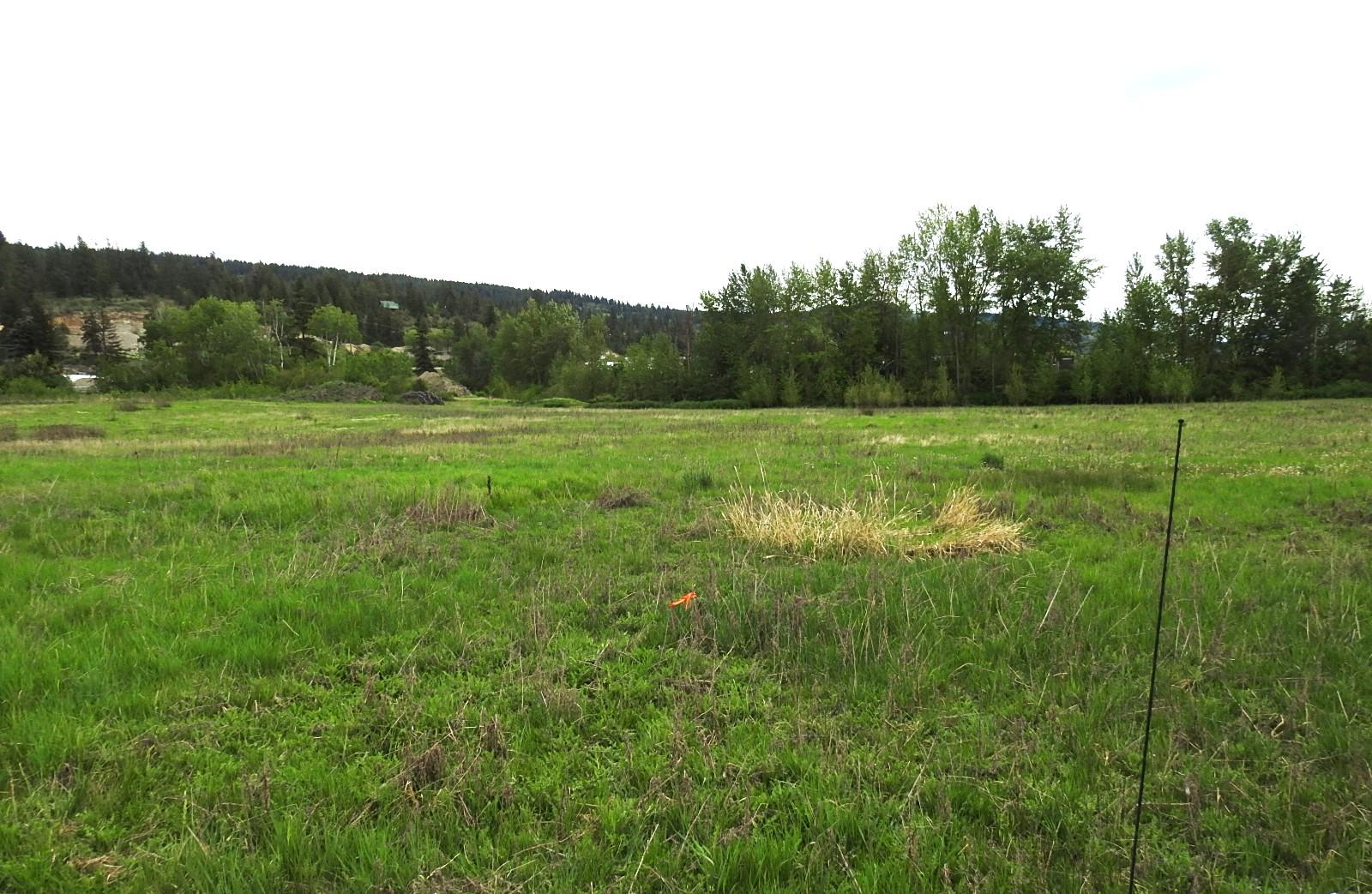 












L & A Cross

Road,
Spallumcheen,







BC
V1H 1W9

