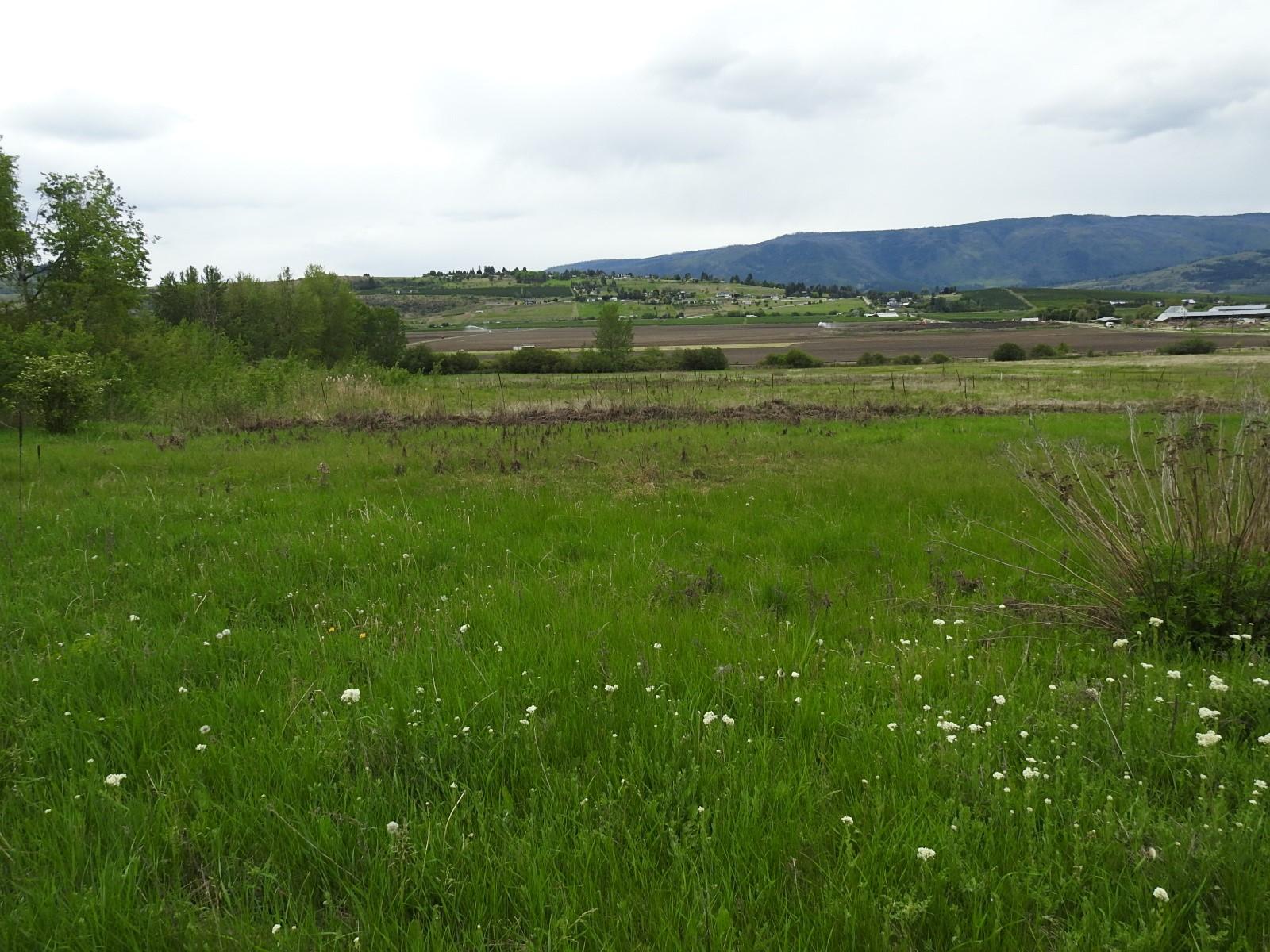 












L & A Cross

Road,
Spallumcheen,







BC
V1H 1W9

