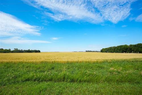 Featured Listing Photo 