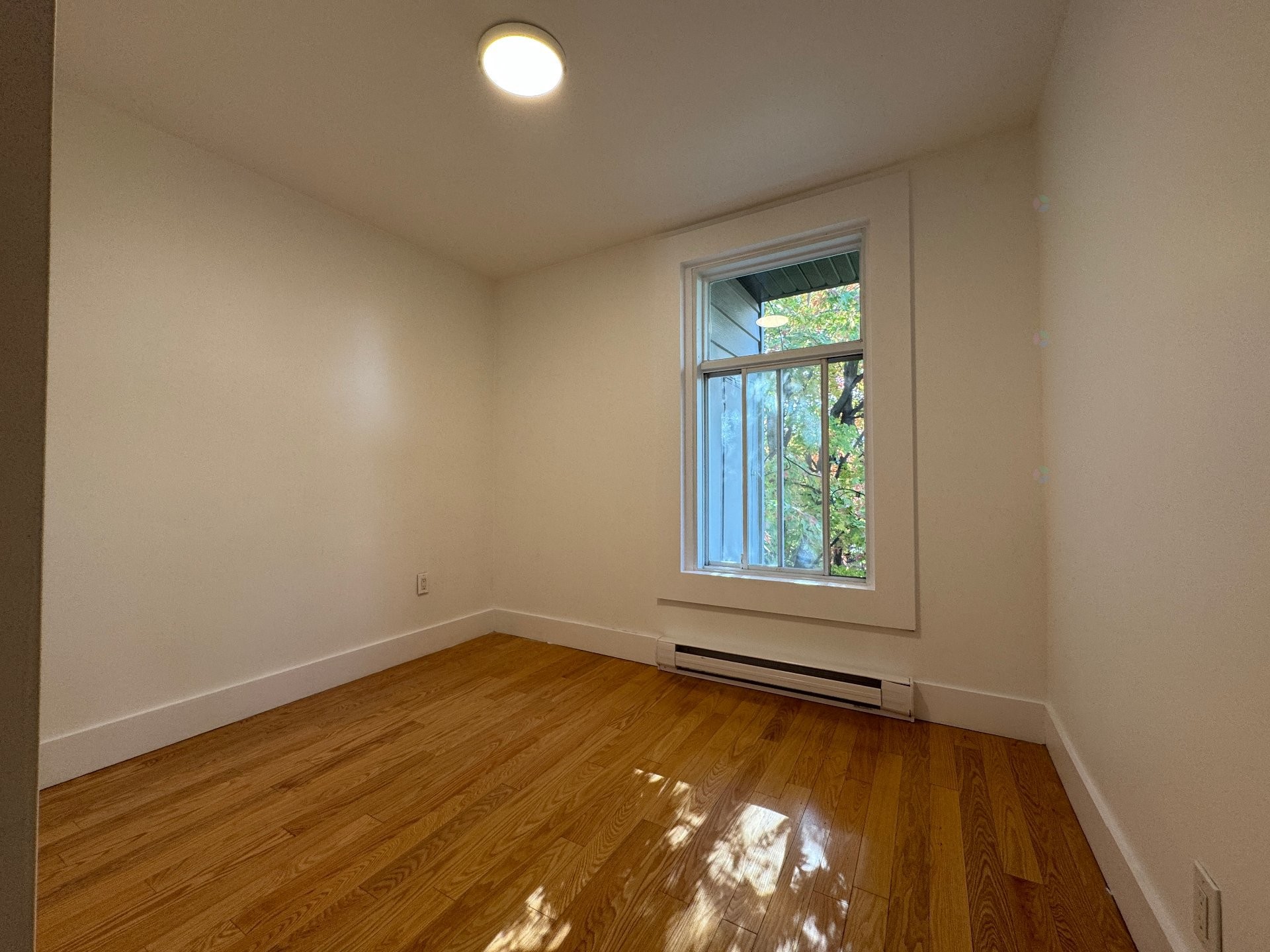 









4528


Rue Chambord

,
Montréal (Le Plateau-Mont-Royal),




QC
H2J3M7

