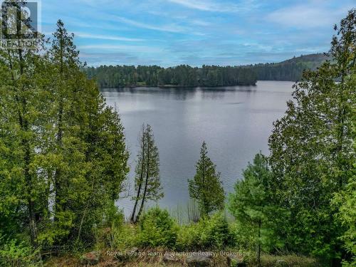 View of Forest Lake