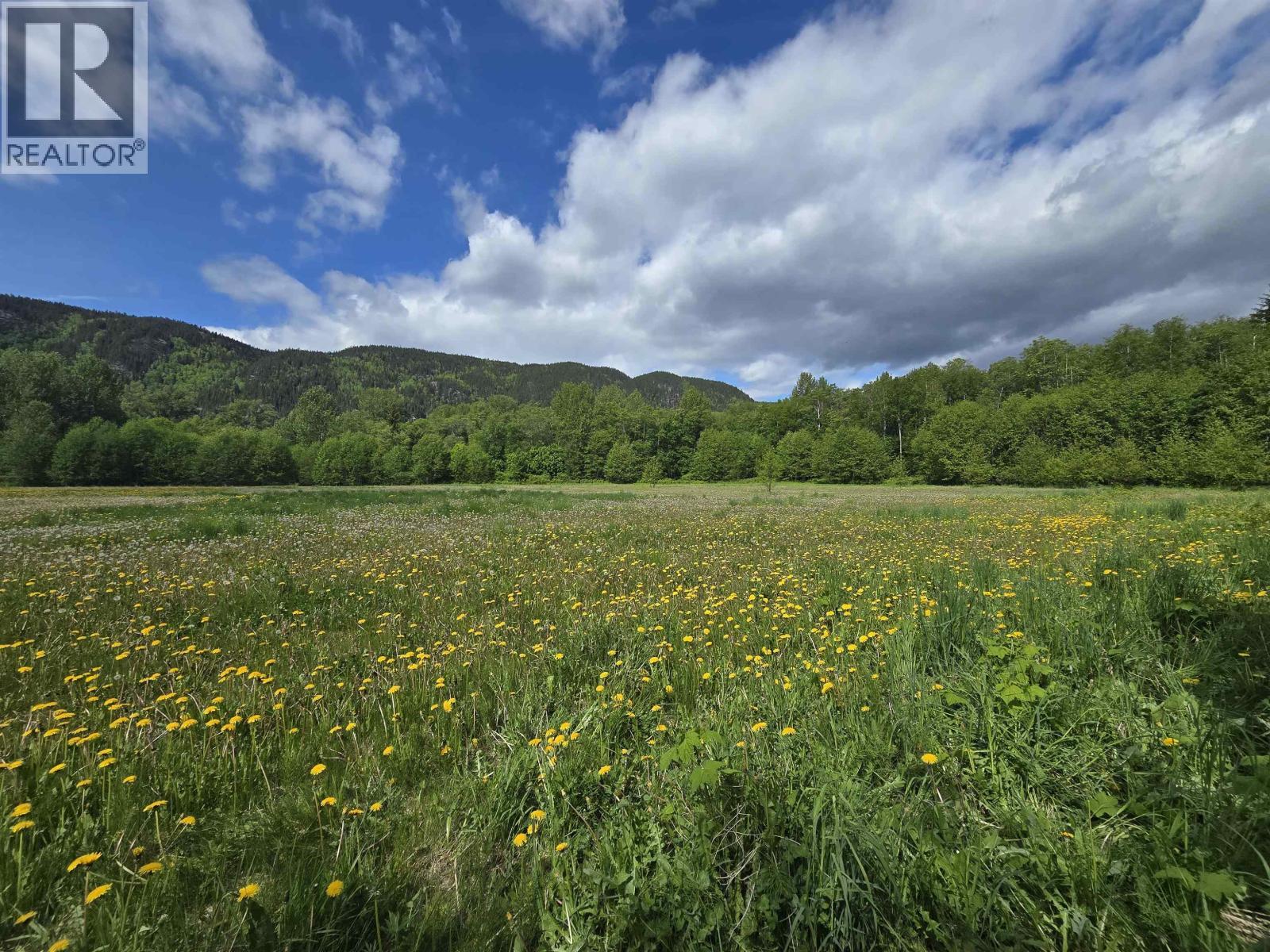 












LOT 4 SCHREMP ISLAND ROAD

,
Terrace,







British Columbia
V8G4R6

