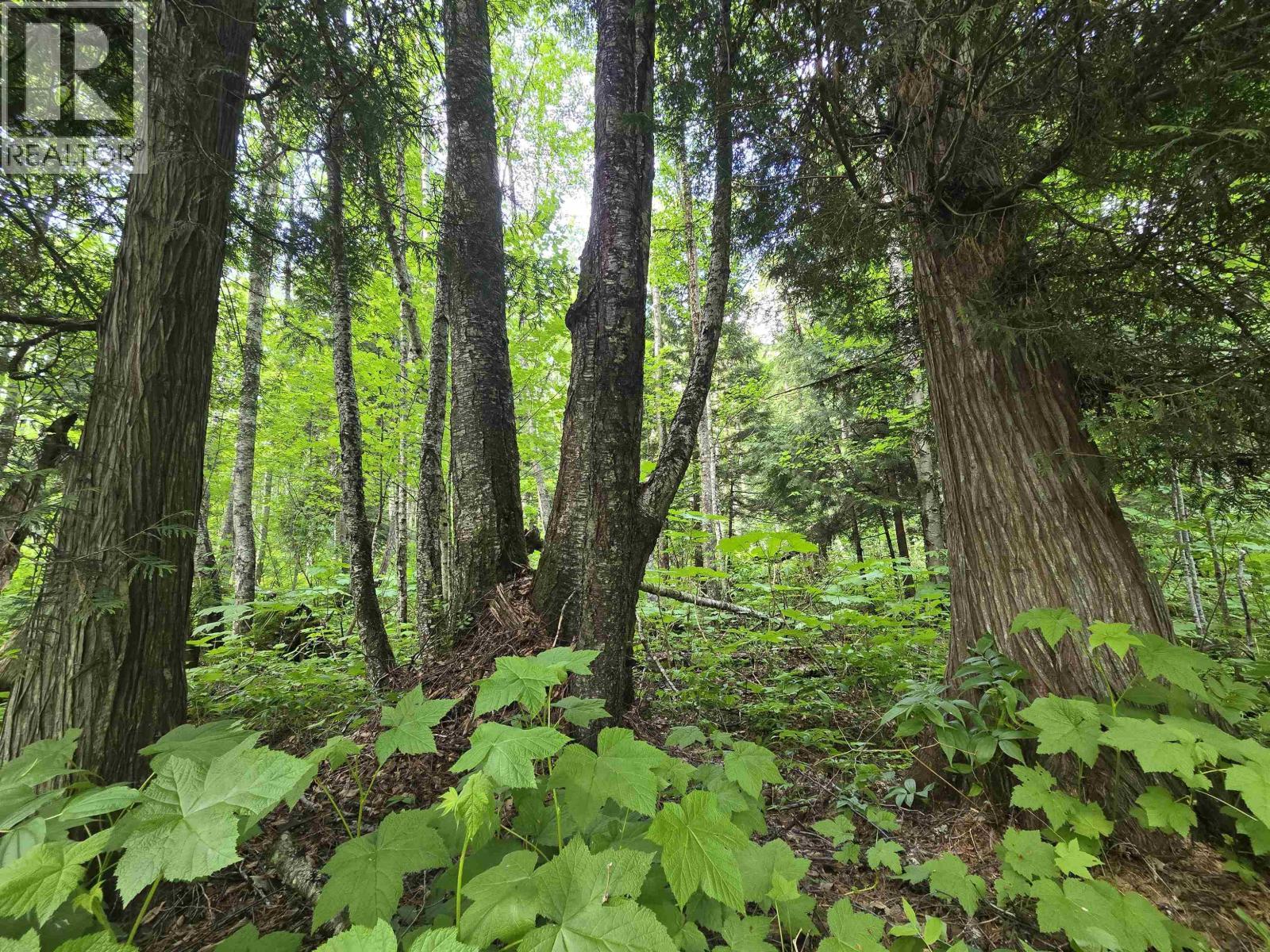 












LOT 4 SCHREMP ISLAND ROAD

,
Terrace,







British Columbia
V8G4R6

