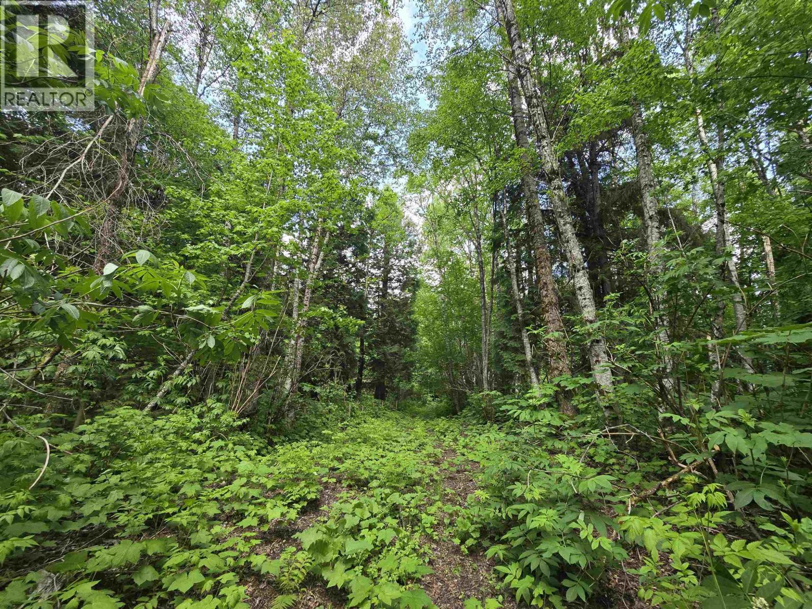 












LOT 4 SCHREMP ISLAND ROAD

,
Terrace,







British Columbia
V8G4R6

