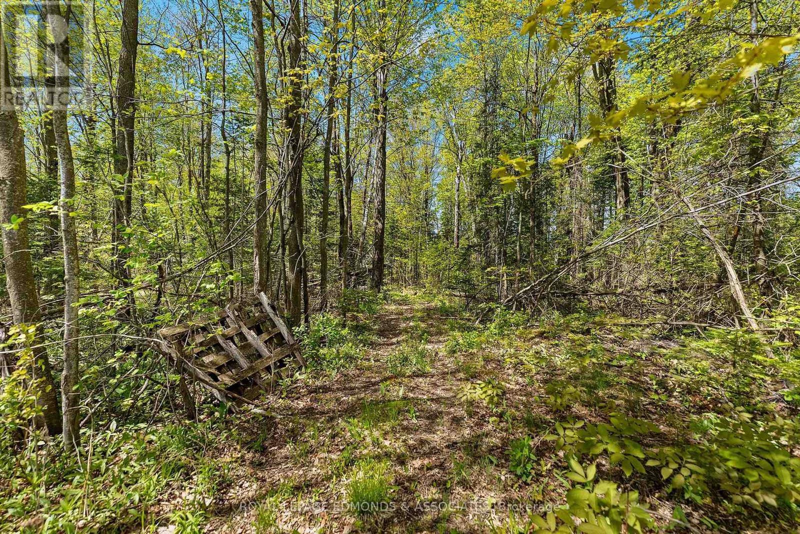 












346 HILA ROAD

,
Whitewater Region,




Ontario
K8A6W3

