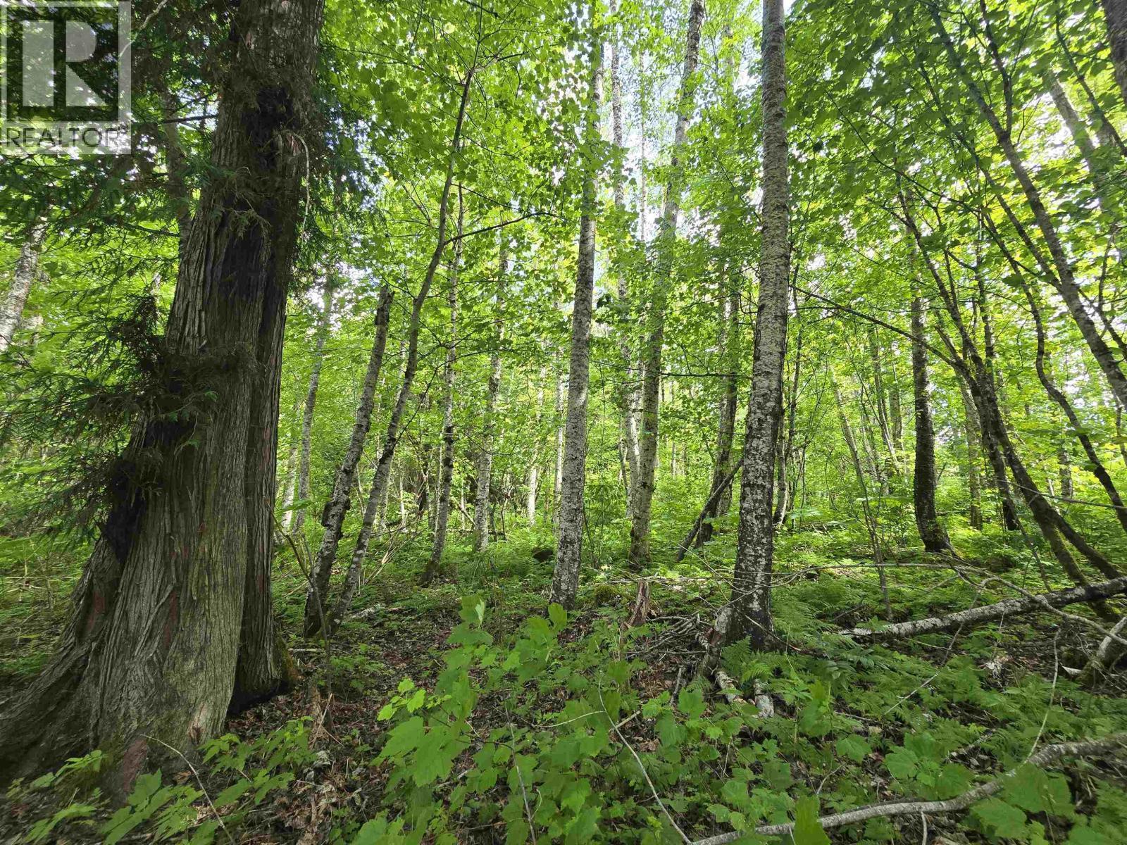 












LOT 3 SCHREMP ISLAND ROAD

,
Terrace,







British Columbia
V8G4R6


