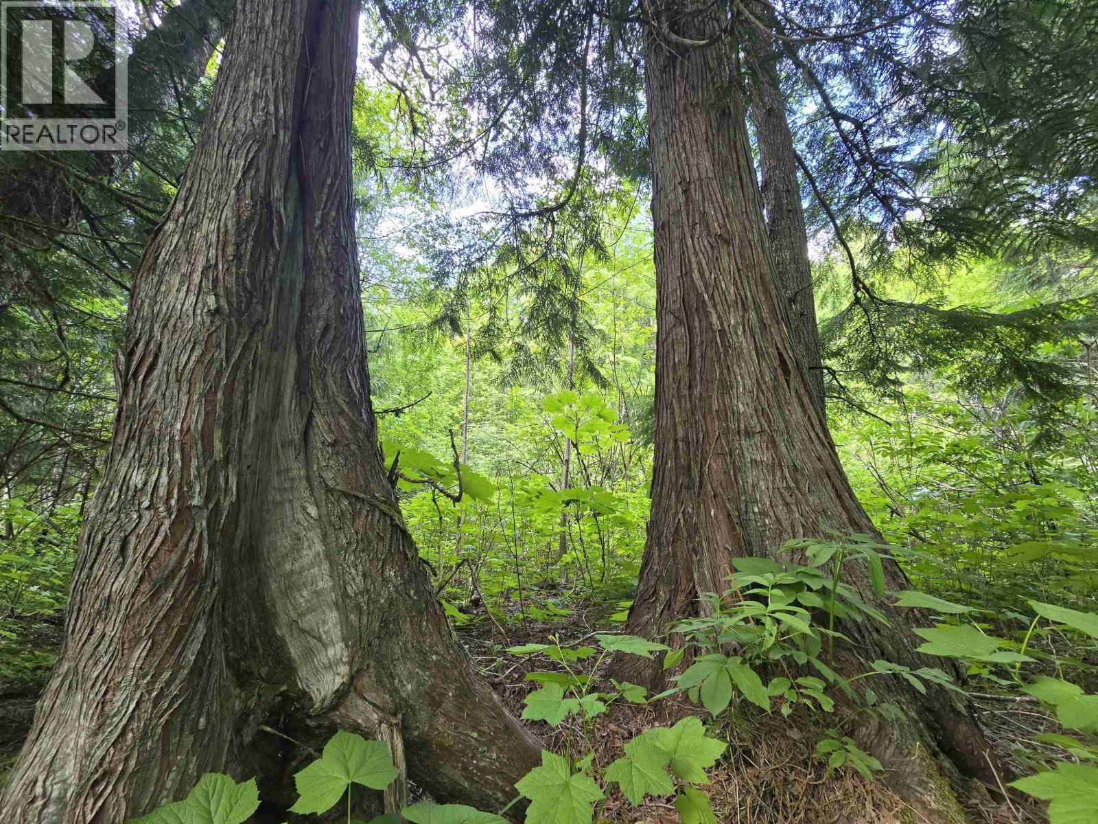 












LOT 3 SCHREMP ISLAND ROAD

,
Terrace,







British Columbia
V8G4R6

