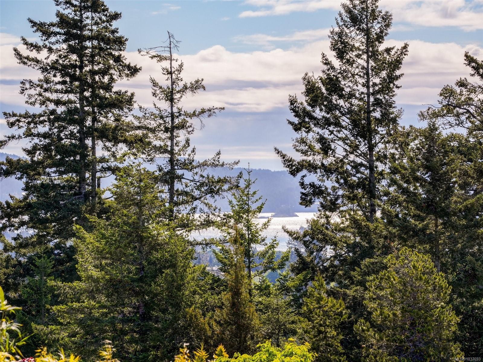 









2371


Mountain Heights

Rd,
Sooke,




BC
V9Z 1M4

