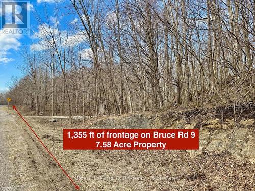 Early Spring Photo - mostly hardwood.
