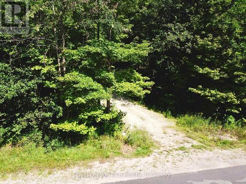 Driveway access in summer