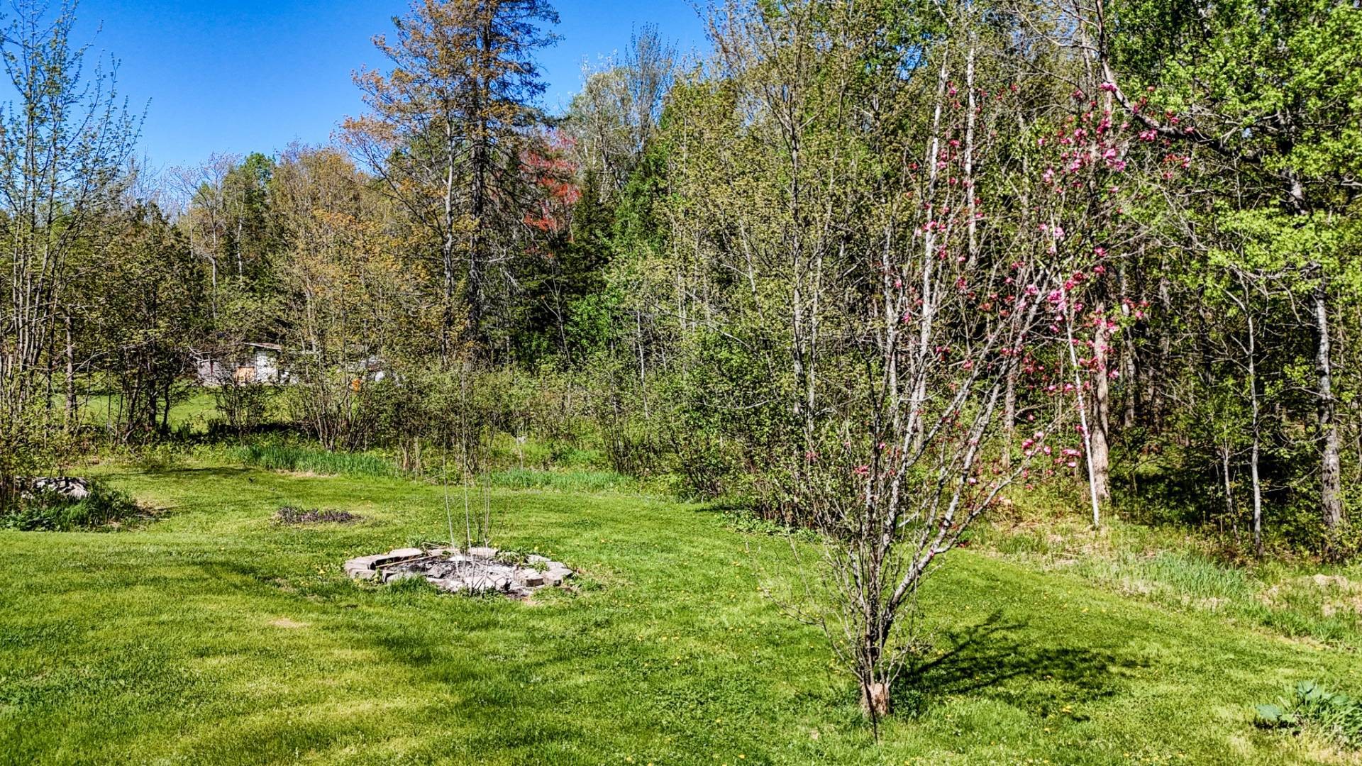 









131


Rue Clément

,
Sherbrooke (Brompton/Rock Forest/Saint-Élie/Deauville),




QC
J1R0A9

