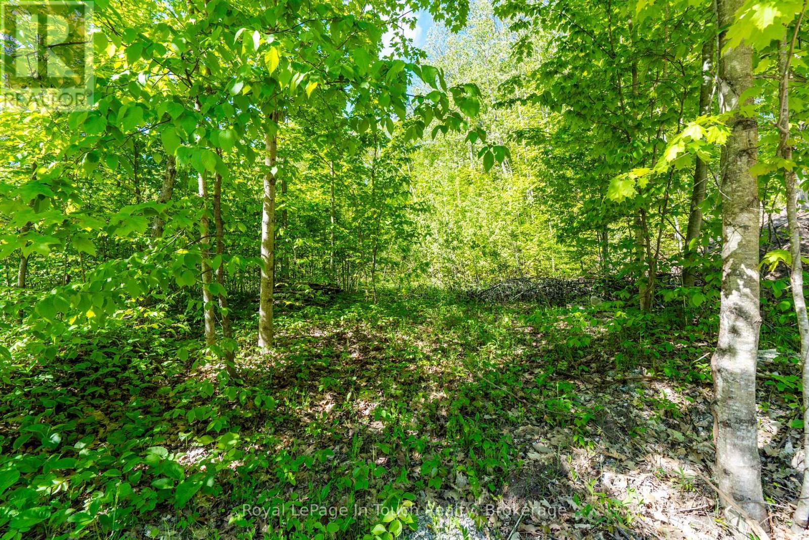 












1536 CHAMPLAIN ROAD

,
Tiny,







Ontario
L9M0C1

