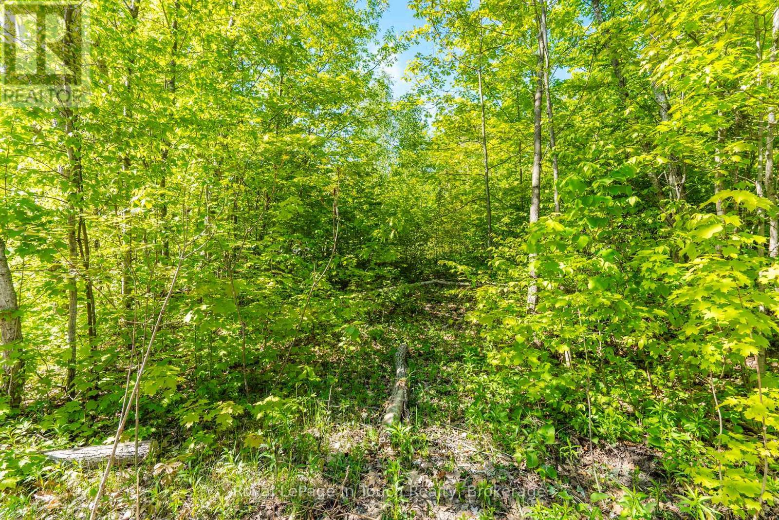 












1536 CHAMPLAIN ROAD

,
Tiny,







Ontario
L9M0C1

