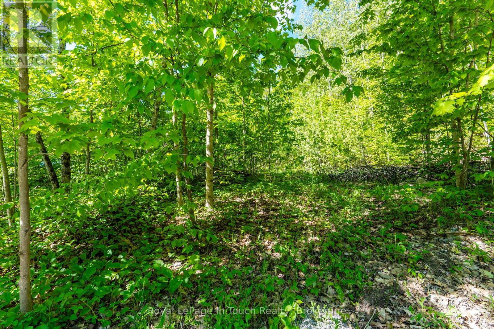 












1536 CHAMPLAIN ROAD

,
Tiny,







Ontario
L9M0C1

