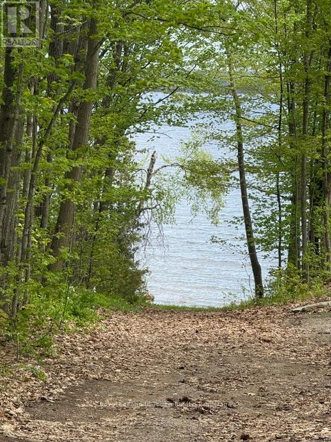 












1536 CHAMPLAIN ROAD

,
Tiny,







Ontario
L9M0C1

