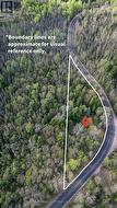 Fully Treed Building Lot